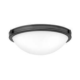 Потолочный светильник Collier Hinkely HK-COLLIER-F-S-BX черный оксид